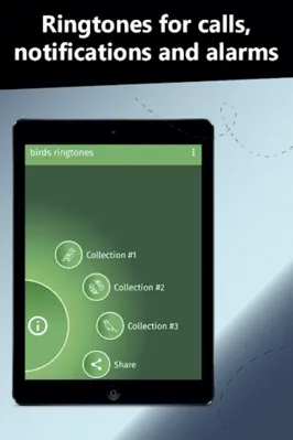 Birds ringtones, birds sound android App screenshot 2