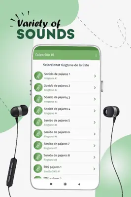 Birds ringtones, birds sound android App screenshot 4